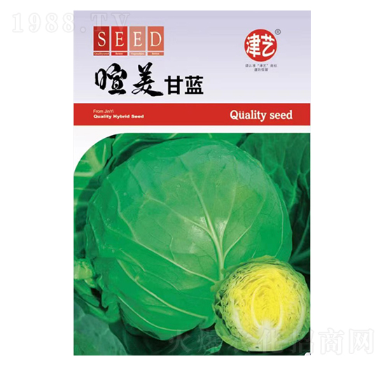 甘藍(lán)種子-喧美甘藍(lán)-邯豐農(nóng)業(yè)