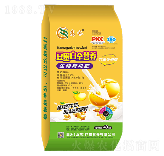 �����נI(y��ng)�B(y��ng)-�����ЙC(j��)��-�ߺ�