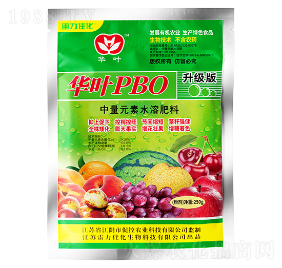 ����(j��)���A�~PBO-�����ѻ�