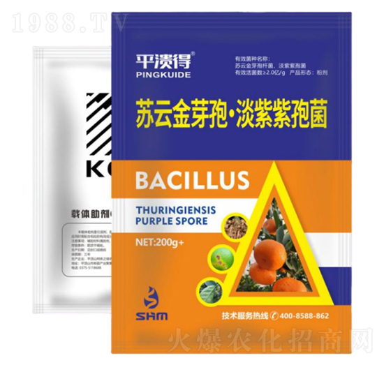 ���ٝ����ײ�2̖-���A��