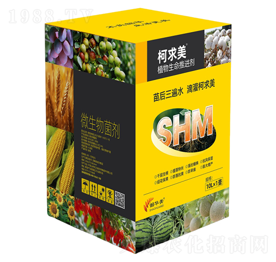 ֲ���������M��-������-���A��