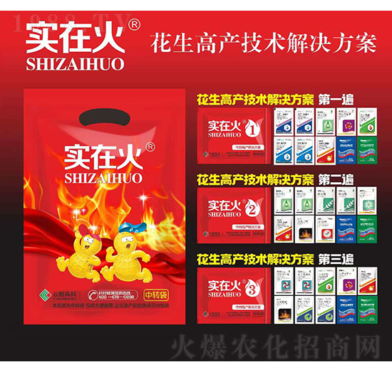 花生高產(chǎn)技術(shù)解決方案-實(shí)在火-紅太陽
