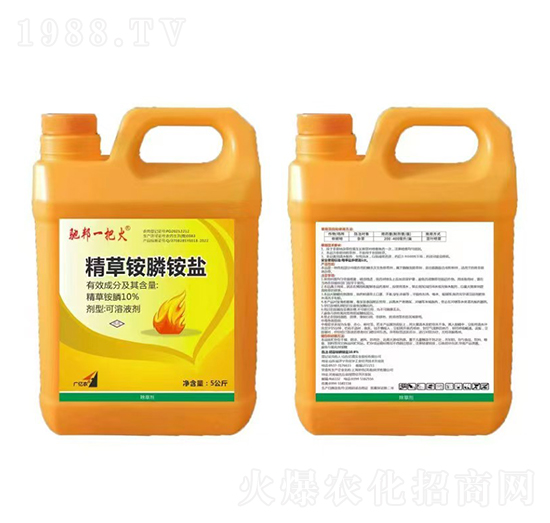 10%精草銨膦銨鹽5公斤-馳邦一把火-紅太陽(yáng)