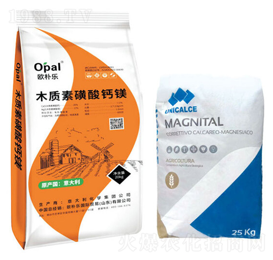 ľ�|�ػ����}�V-�W�㘷