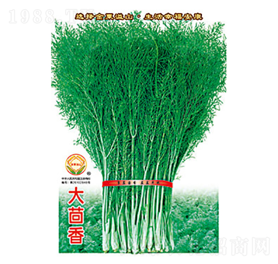 ������-̫���N�I(y��)