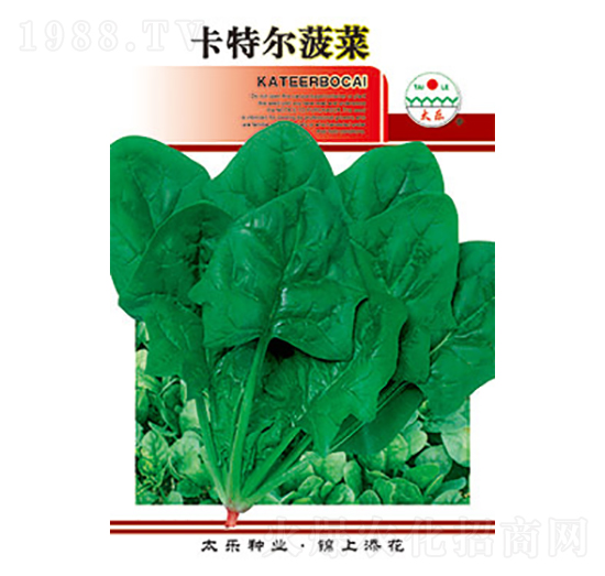 ���˷N��-���ؠ�����-̫���N�I(y��)