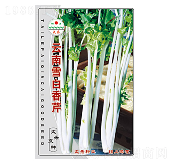 云南雪白香芹-太樂(lè)種業(yè)