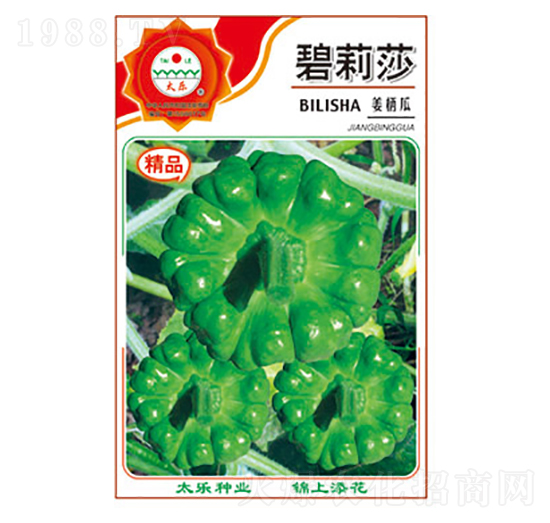 姜柄瓜種子-碧莉莎-太樂(lè)種業(yè)