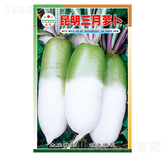 �}���N��-���������}��-̫��(l��)�N�I(y��)