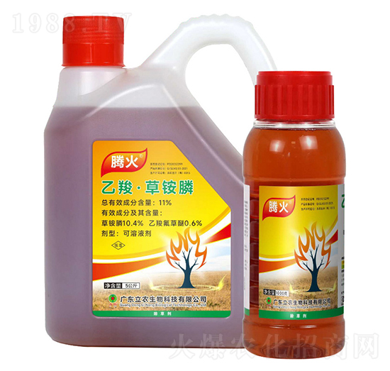 11%���ȡ����@�-�v��-�V�|���r