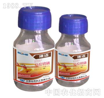 ����-�R������