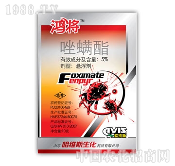 ���S˹-������