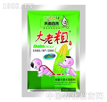 ����ٺ�-���ϴ�