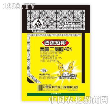 ����-40%��������