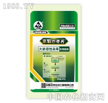 ����-���g�����s�݌�������