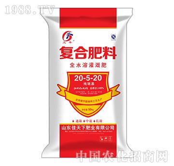 ������ͺϷ���20-5-20-���S-������