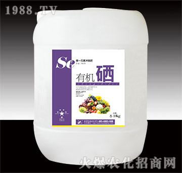 �ЙC(j��)��-꿾�