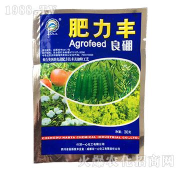 ����-�����S-һ�Ļ���