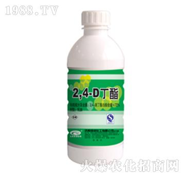 72%2��4�ζ���-�G��