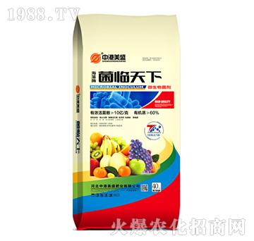 ����ø���R����