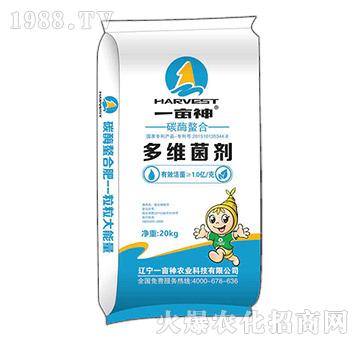 ̼ø���϶�S����-һ����