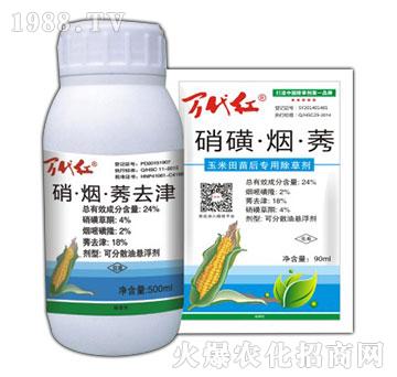 24%���ǡ�����ݬ-�f���t-�G��