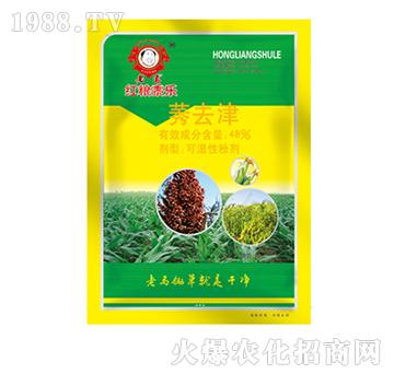 ݬȥ��-���R�t�Z��-�����r(n��ng)�I(y��)