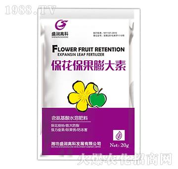 �������������-ʢ���߿�