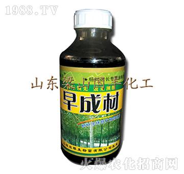 早成材-梁山國(guó)豐