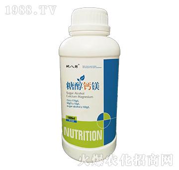 �Ǵ��}�V-�ذ��r-��Խ����