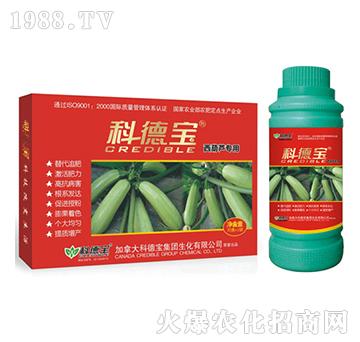 �Ƶ�-�����J����