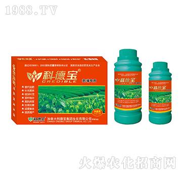 ����ɣ��(zhu��n)�àI(y��ng)�B(y��ng)���a(ch��n)�{(di��o)�턩-�Ƶ�