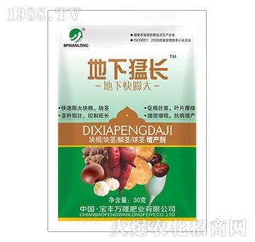 ���¿����-�������L-���S�f¡