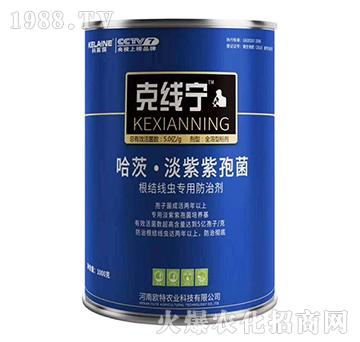 ���Y(ji��)���x(ch��ng)���÷��΄�-�˾���-�W���r(n��ng)�I(y��)