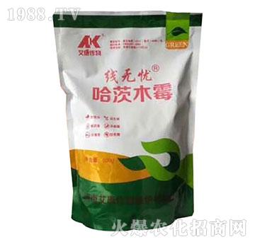 ����ľù-���o(w��)�n-��������