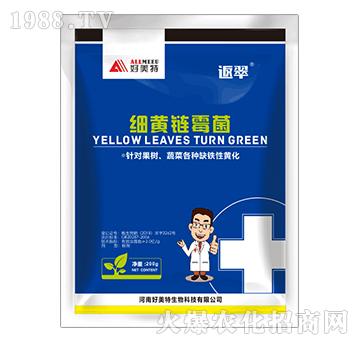 ���S�ù��-����-������