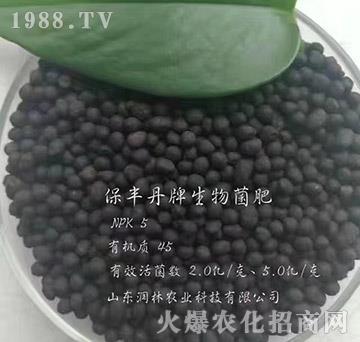 �������-���S��-��(r��n)���r(n��ng)�I(y��)