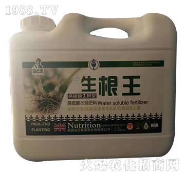 ������-����