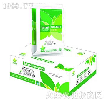 �����������̖(h��o)-�����