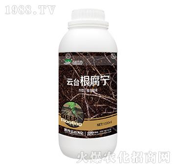 ���_������-���_��