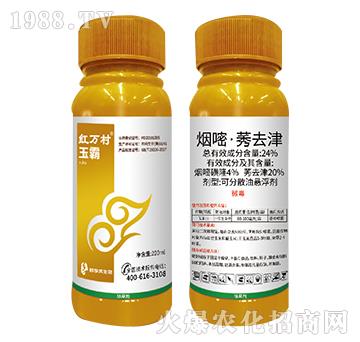 24%���ס�ݬȥ��-���-���˹����r(n��ng)��