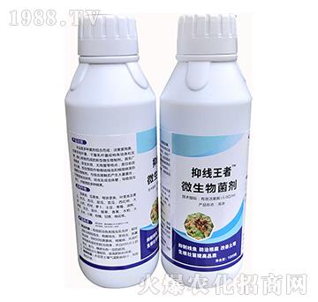 ΢�������-�־�-�Z������