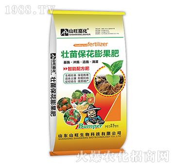 ���籣�������-ɽ��