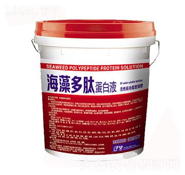 ���Թ蹦����Һ��-�P����