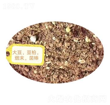 ������������ĩ��������-�Z�M�}