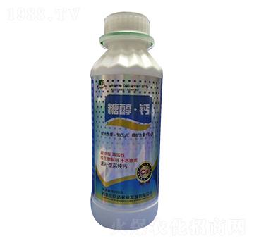 1000g�Ǵ��}-���_(d��)