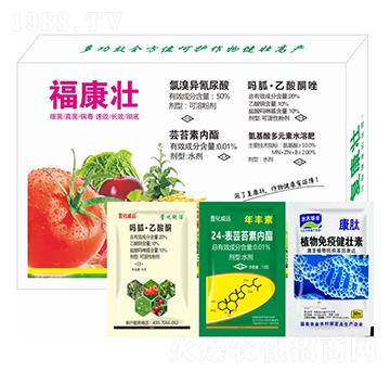 ������-�滯���h