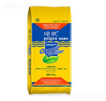 �ЙC����-�����r�I(y��)