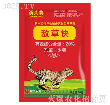 20%���ݿ�-�I(l��ng)�^��60��-���