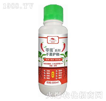 �ݲݡ����¡��K�ƽ�-ǧ���o��-������-�f�ڿ�